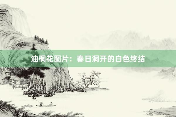 油桐花图片：春日洞开的白色终结